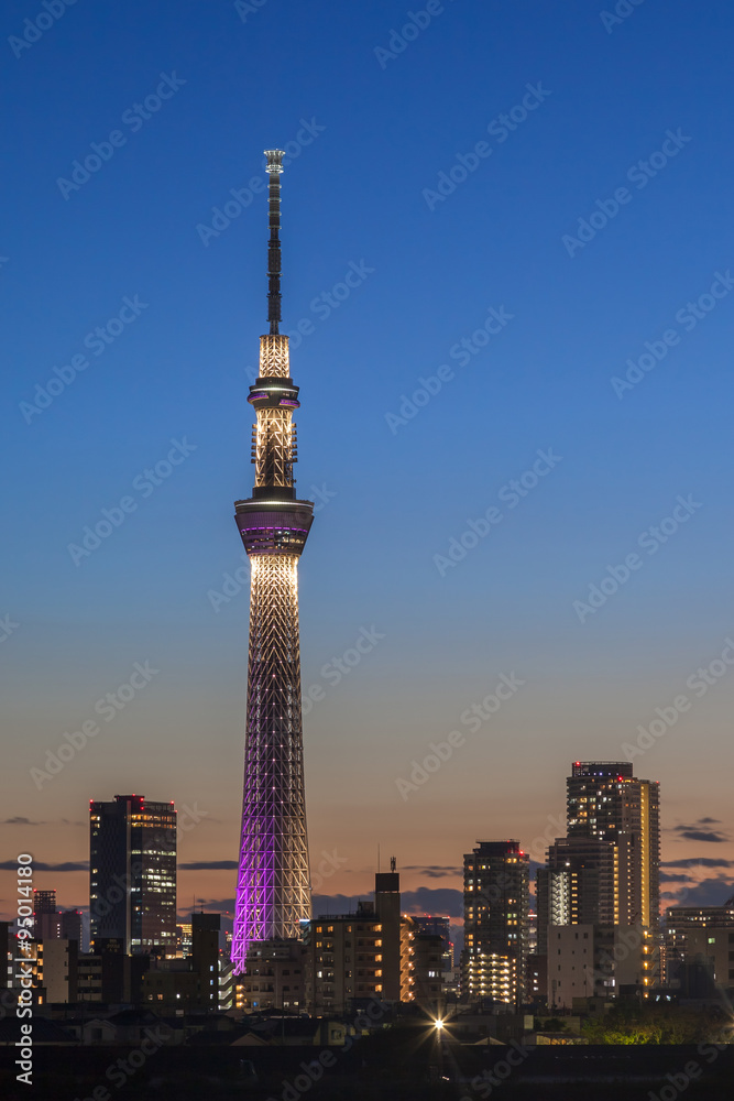 Naklejka premium 東京スカイツリー 夜景