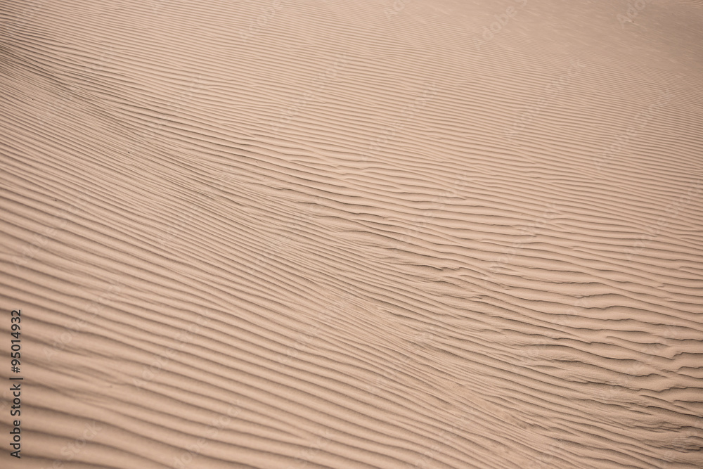Sand dunes in the desert Sand dunes in the desert