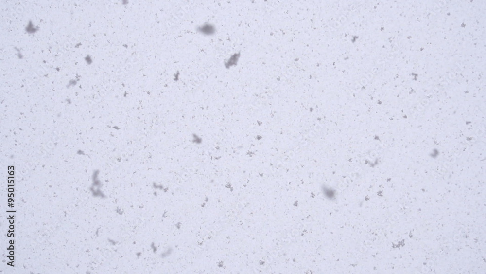 SLOW MOTION: Snowing SLOW MOTION: Snowing