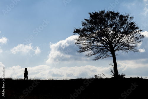 Silhouette di una donna che guarda un albero sulla linea dell'orizzonte. Nuvole e cielo blu sullo sfondo