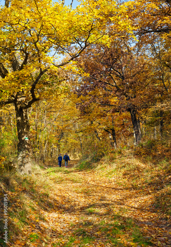 Kids  autumn trip