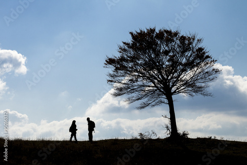 Photos coppia di persone in silhouette sotto una grande quercia