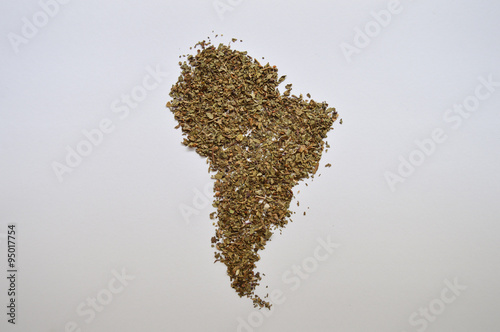 Dried herbs (basil) in the shape of South America