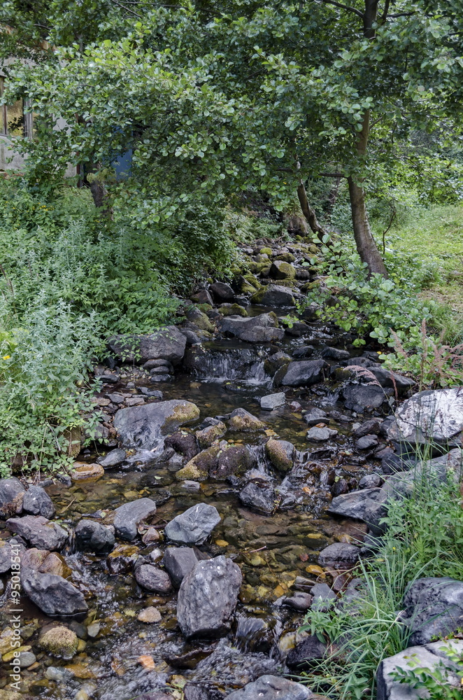 Beautiful motion blurred water stream landscape in the green forest, Vitosha mountain, Bulgaria Beautiful motion blurred water stream landscape in the green forest, Vitosha mountain, Bulgaria