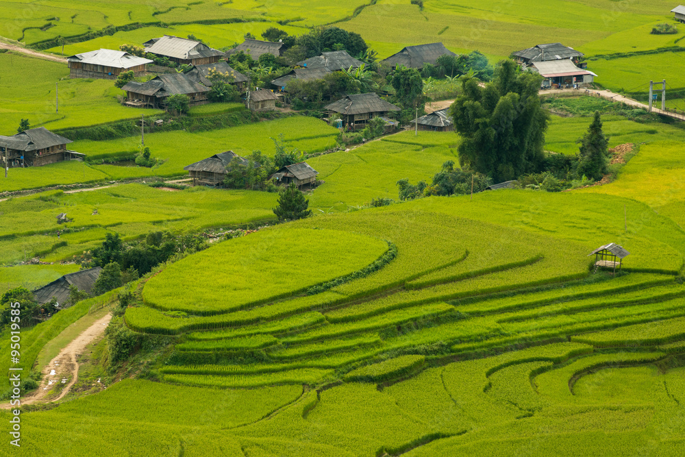 Beautiful landscape Green Terraced Rice Field in Mu cang chai, V
