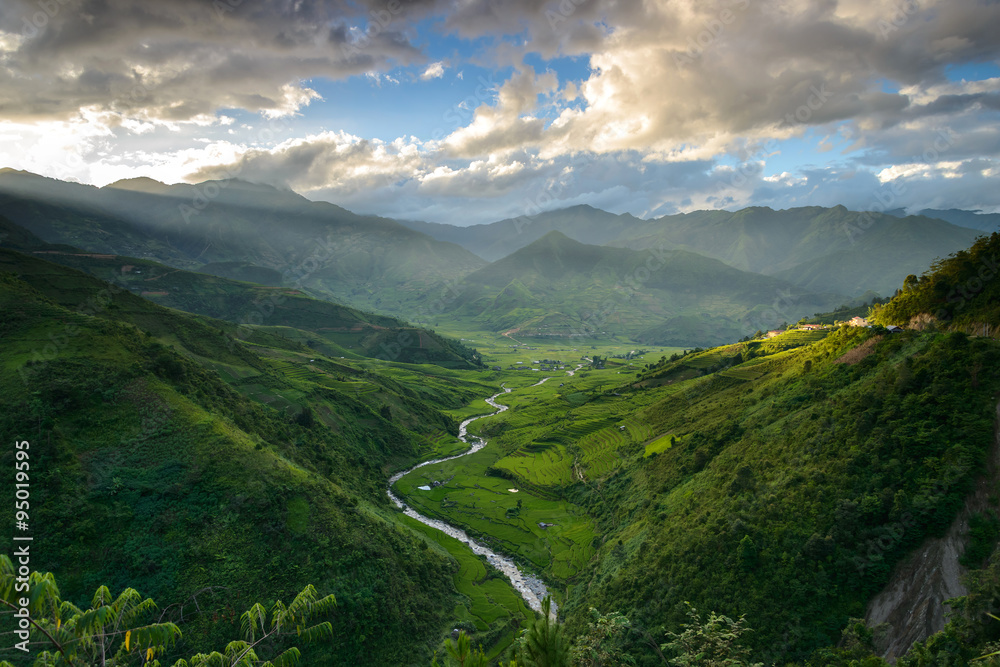 Naklejka premium Rice field in valley in Vietnam