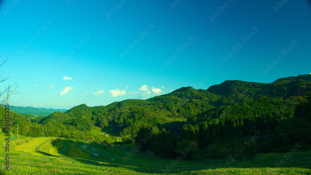 Obraz premium 棚田