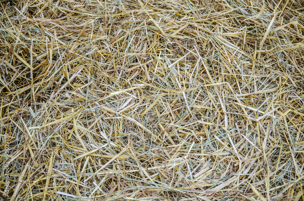 Dry straw macro shot Dry straw macro shot