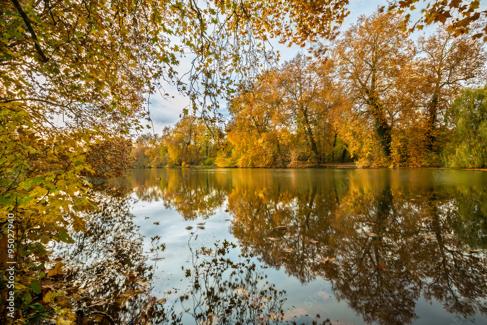 Fototapeta premium Forêt de Compiègne en automne