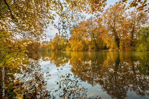 Forêt de Compiègne en automne photo