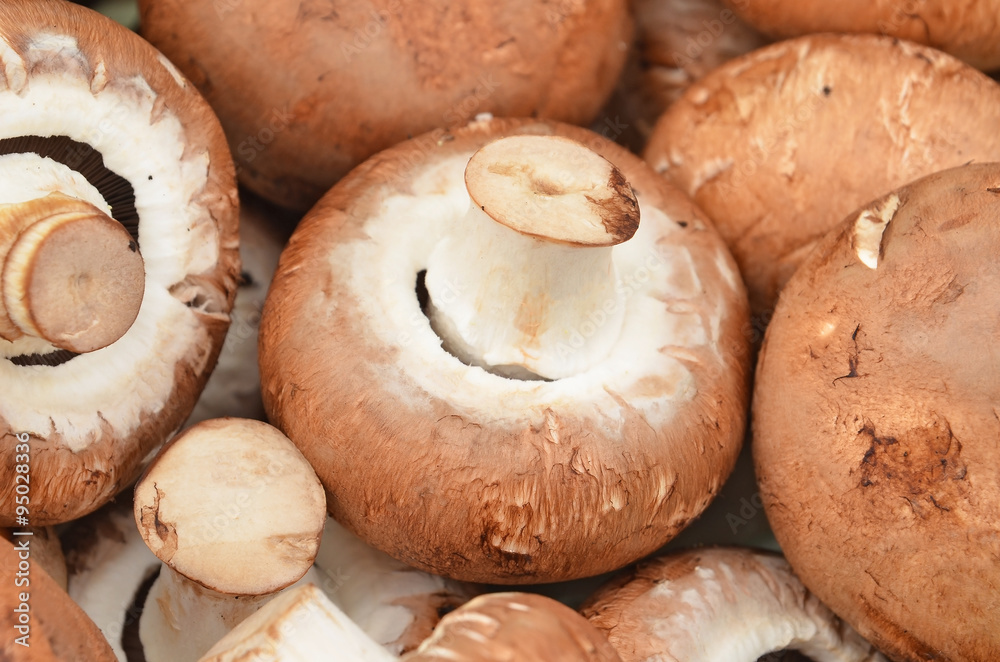 Fresh, raw and whole champignon (True mushroom)