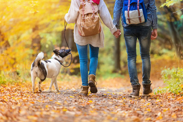 Beautiful couple in autumn nature