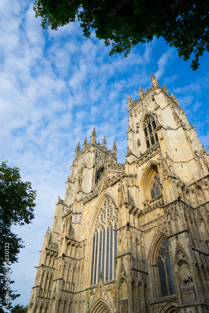 Fototapeta premium York minster, England, UK