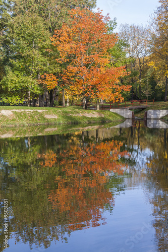 Fototapeta Naklejka Na Ścianę i Meble -  Autumn reflection on the Lake in The Park