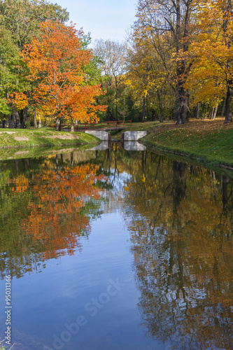 Fototapeta Naklejka Na Ścianę i Meble -  Reflection of Autumn Trees in Water