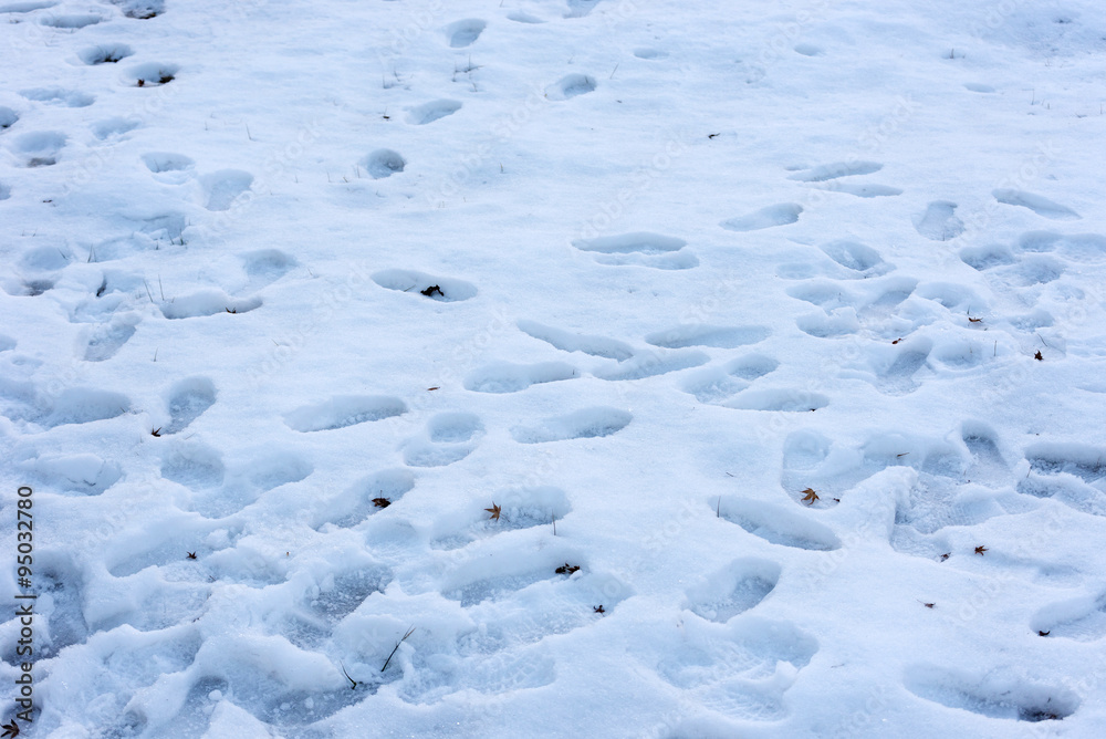 Footprints in the snow on winter 