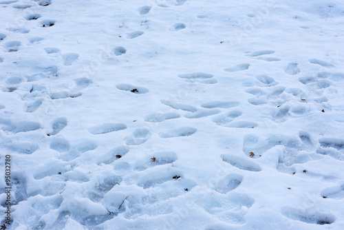 Footprints in the snow on winter 