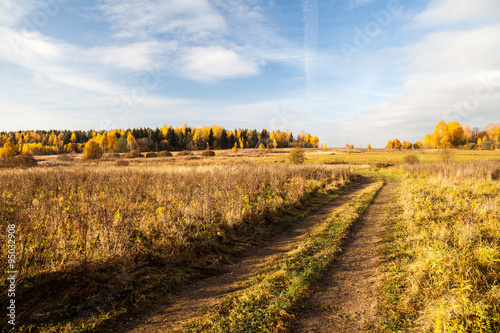 Rural path in a field