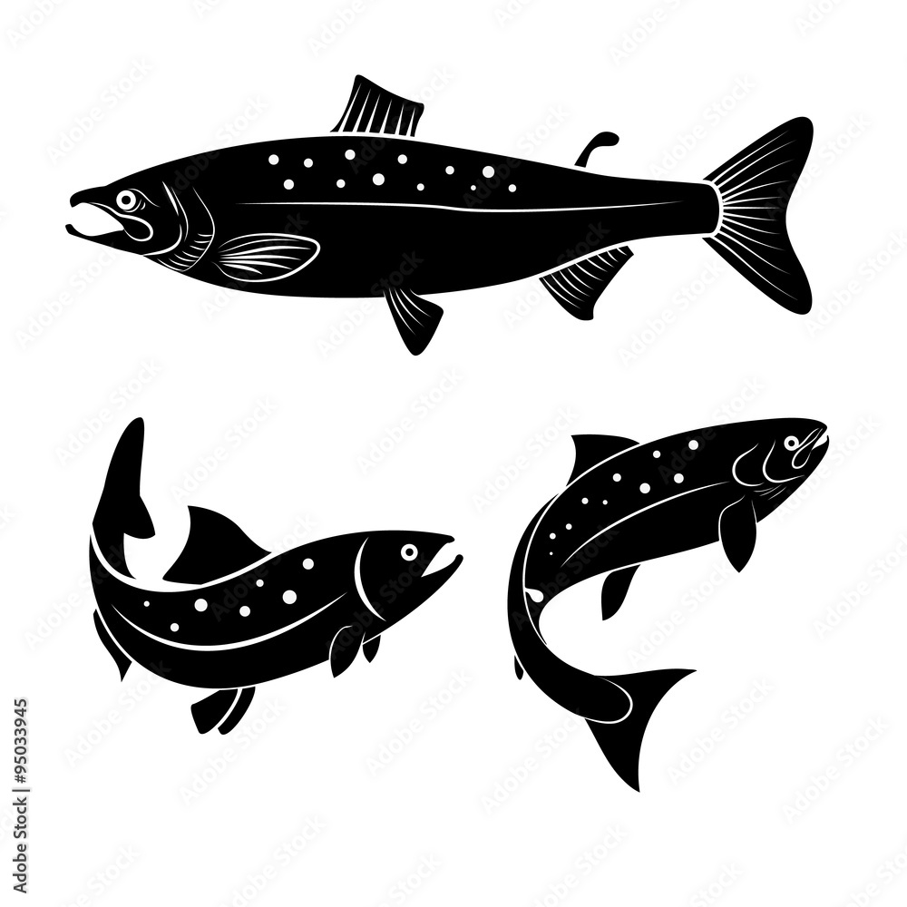 Fototapeta premium salmon logo