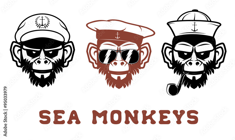sea monkey