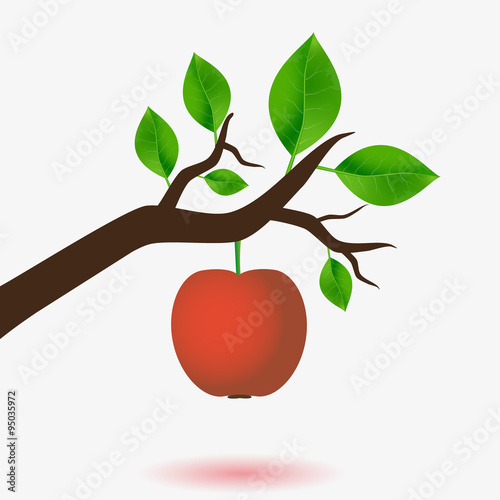 red apple and branch of tree with green leaves eps10