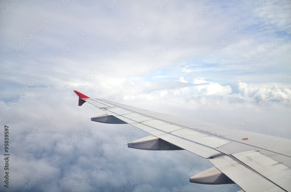 airplane wing airplane wing