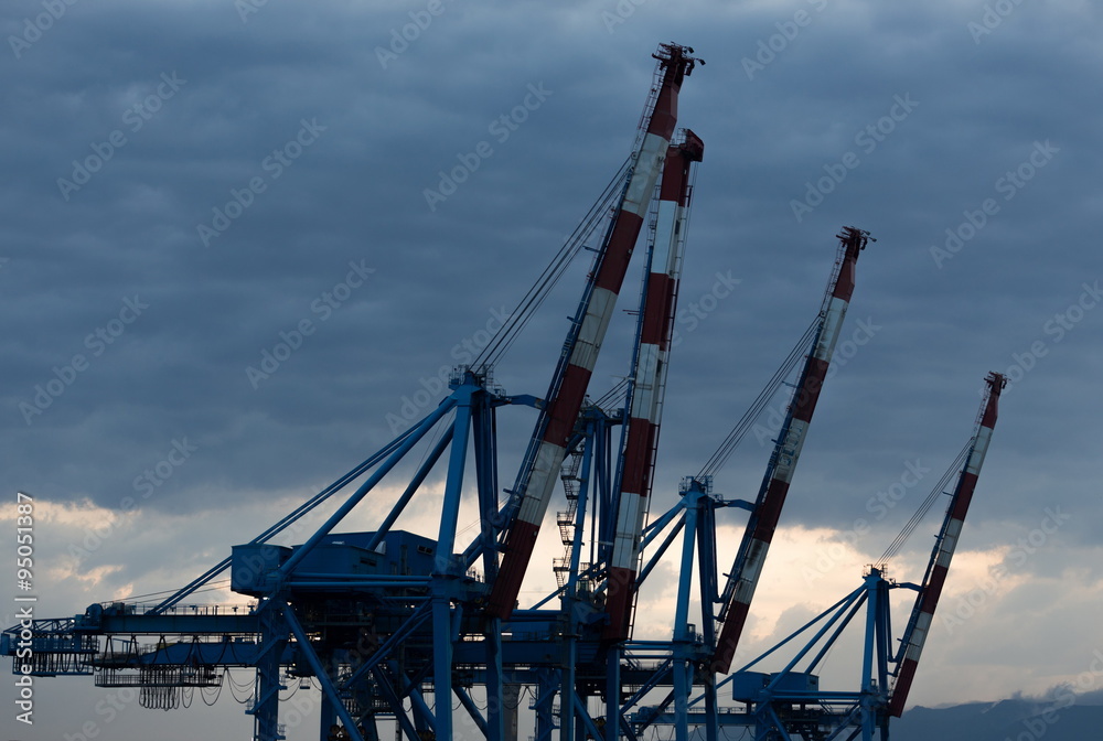 Obraz premium cranes