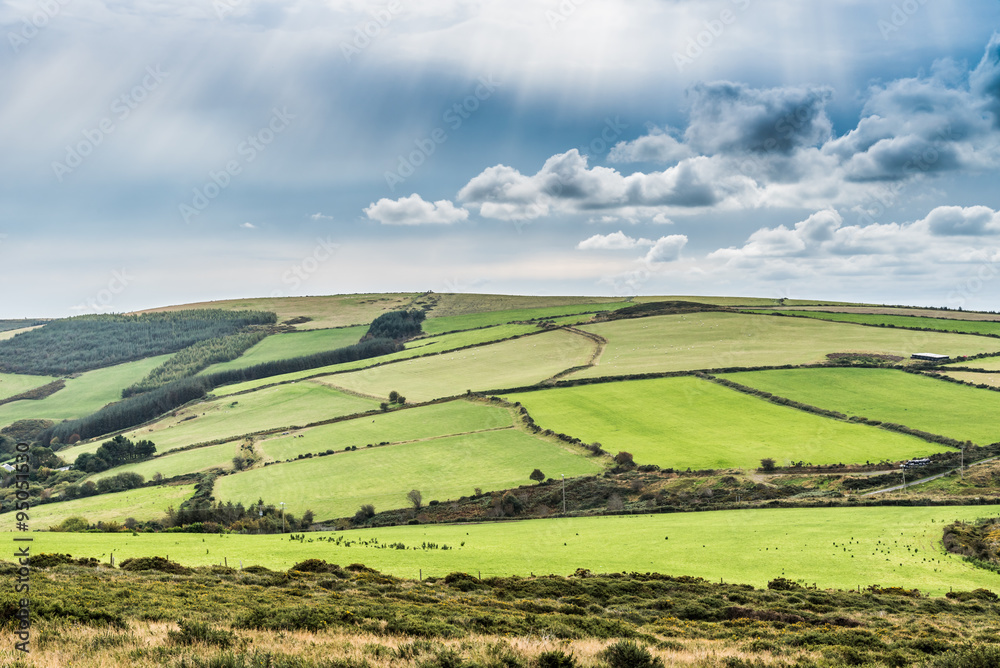 Obraz premium Irish meadows