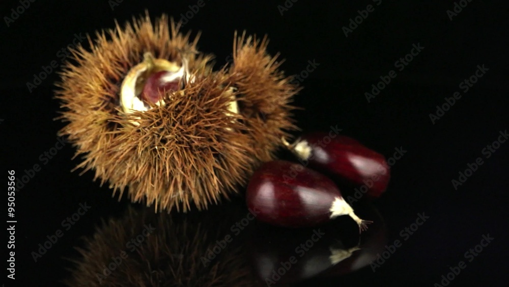Closeup of chestnuts on a black reflective background. Closeup of chestnuts on a black reflective background.