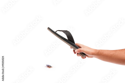 Killing a cockroach