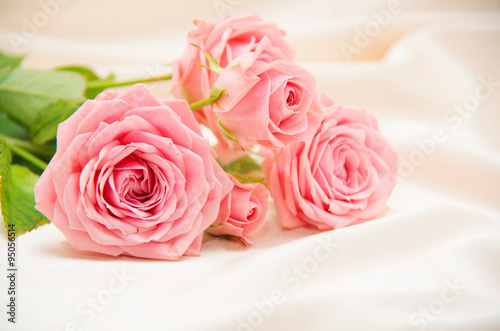 Pink roses