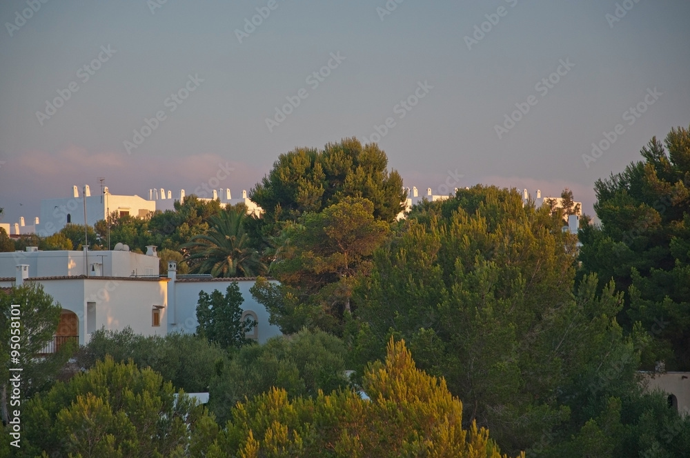 White Ibiza style buildings and green vegetation in the southeast on a sunny summer evening in Mallorca, Balearic islands, Spain.