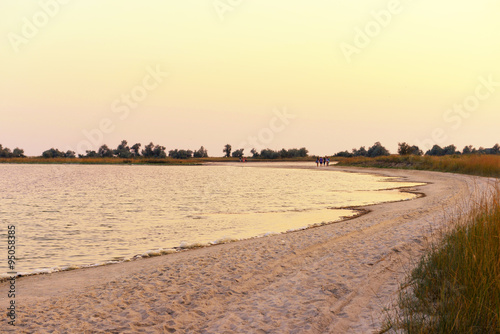 Evening summer shore in the country