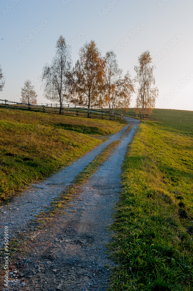 Fototapeta premium carrabile
