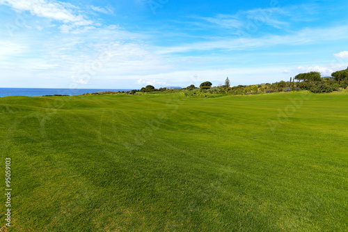 Green field and blue sky