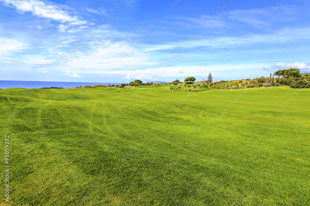 Green field and blue sky