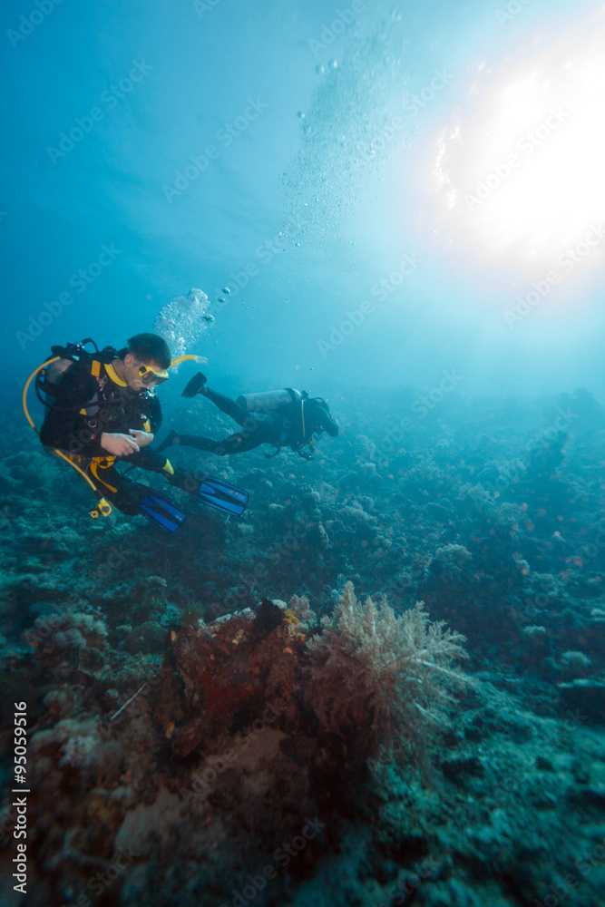 Scuba Divers near Sea Bottom Scuba Divers near Sea Bottom
