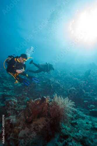 Scuba Divers near Sea Bottom