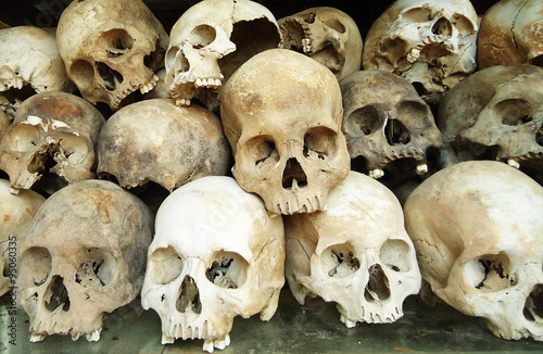 Human skulls