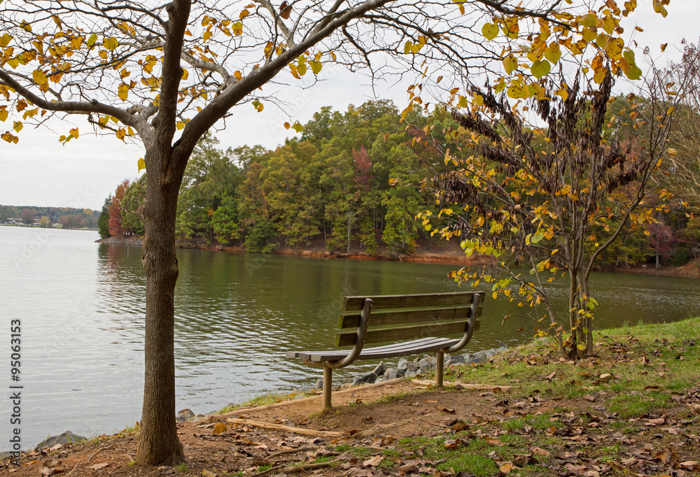 Park bench by lake shore
