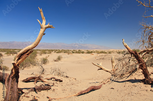 Dead valley in California