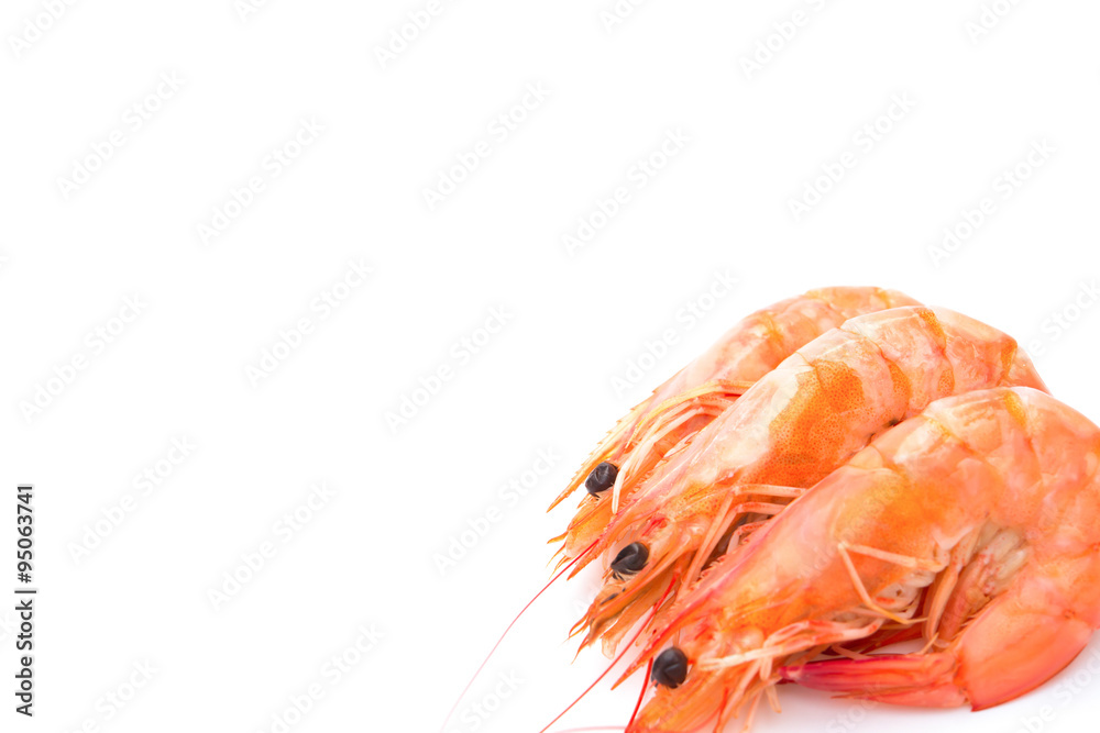 shrimps on a white background with copy space shrimps on a white background with copy space