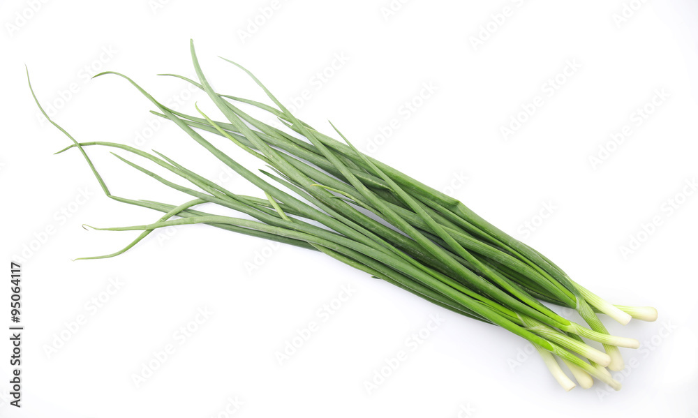 Fresh green onion isolated on white background Fresh green onion isolated on white background