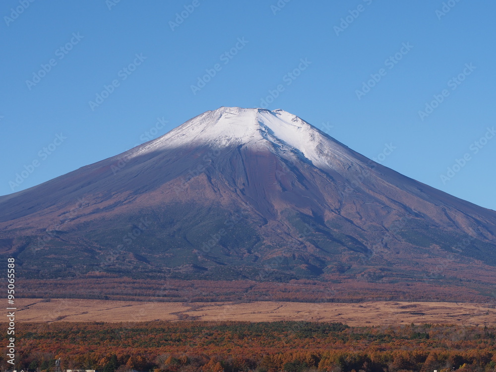Fototapeta premium 秋の富士山