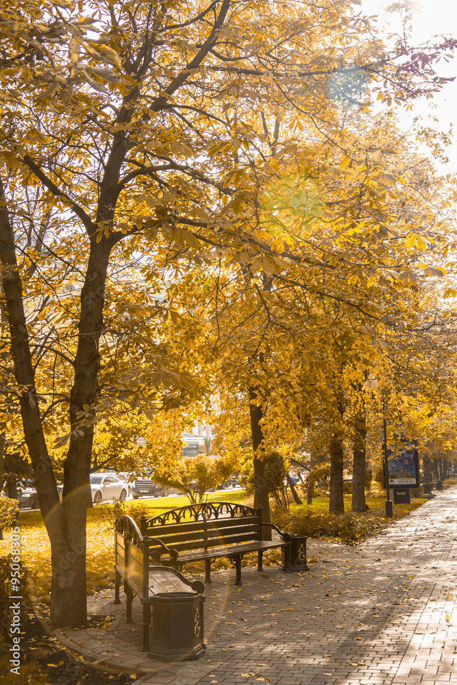 Naklejka premium The city park