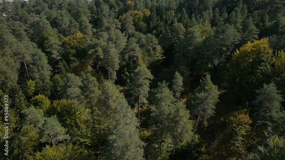 Aerial view of forest and industrial zone in the summer Aerial view of forest and industrial zone in the summer