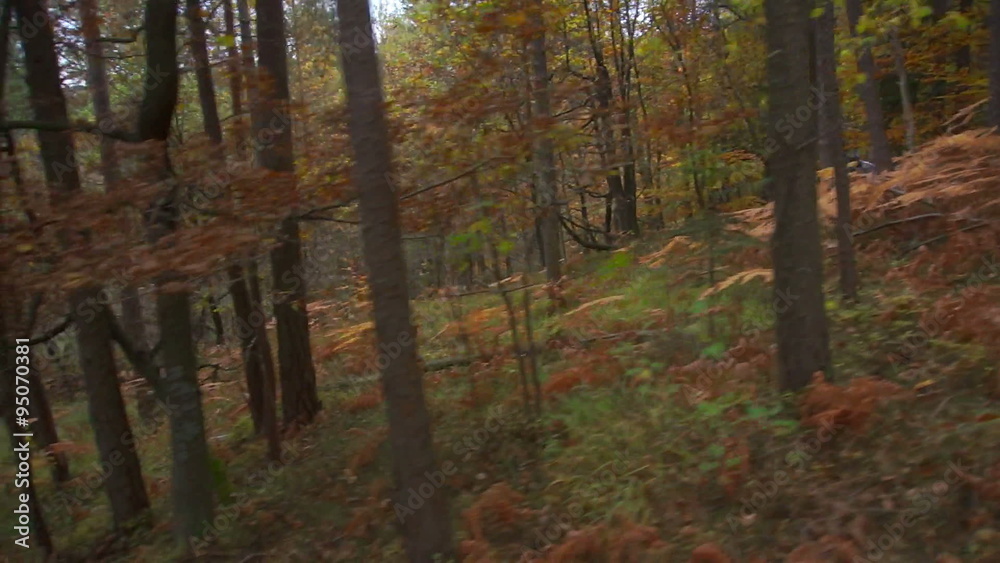 AERIAL: Downhill biking