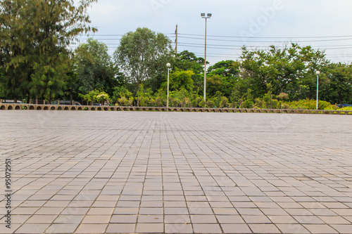 texture of brick paving walkway