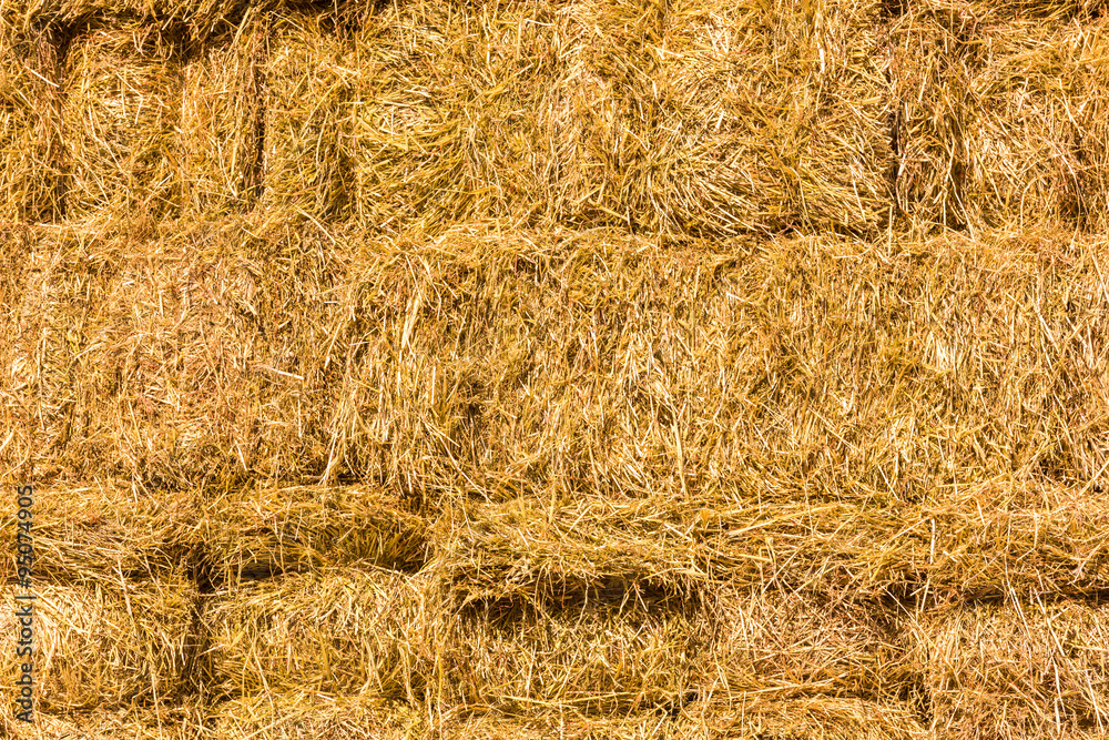 Fresh straw hay bales background Stock Photo | Adobe Stock