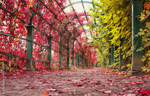 Valokuva Autumn archway in the garden.